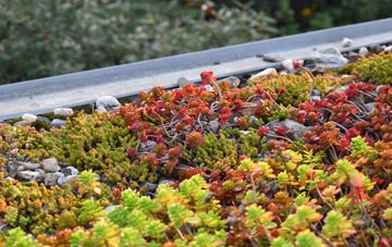the cost of Morton Spirt green roof installation
