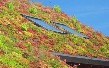 Morton Spirt living roof systems